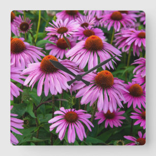 Horloge Carrée Fleurs   Jardin aux fleurs roses