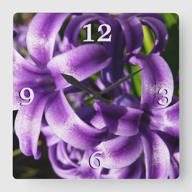 Horloge Carrée Floral Blue Hyacinth (Recto)