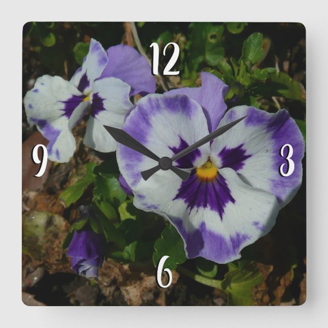 Horloge Carrée Floral Purple and White Pansies (Recto)
