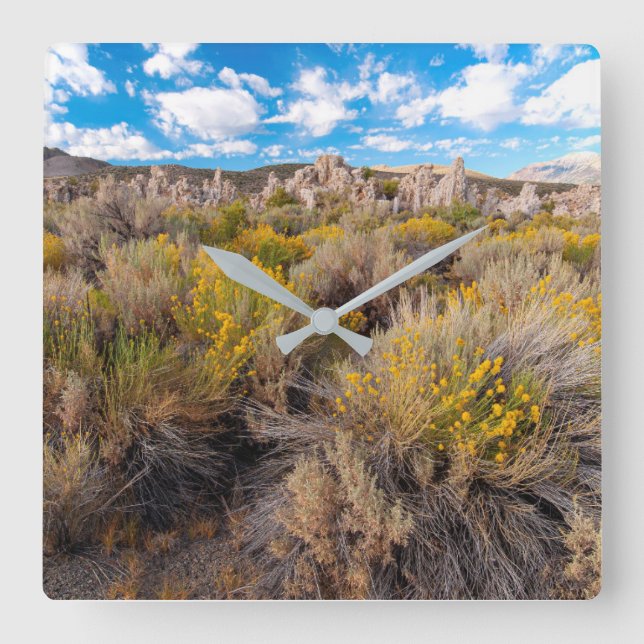 Horloge Carrée Flowers | Blooming Sagebrush California (Recto)