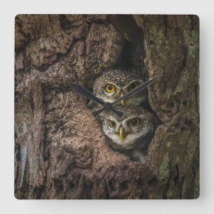 Horloge Carrée Forest   Deux Owls Looking
