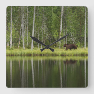 Horloge Carrée Forêt Ours à la forêt de Taiga Nord de la Finlan