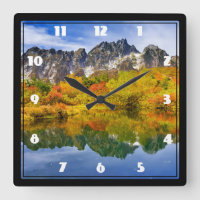 Forêt paysagère pittoresque et montagnes