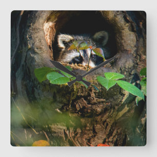 Horloge Carrée Forêt Raccoon Peeking
