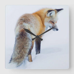 Horloge Carrée Fox rouge en hiver