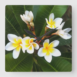 Horloge Carrée Frangipani Blossom Cluster Style Artistique