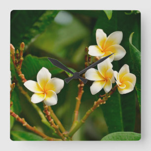 Horloge Carrée Frangipani jaune