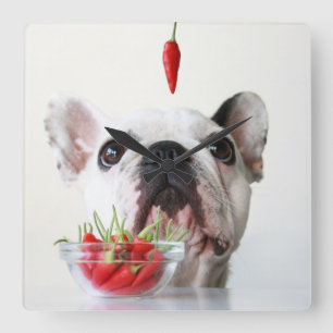 Horloge Carrée French Bulldog Looking