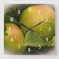Fresh Green Apples with Misty Border