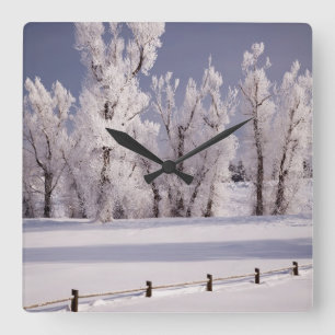 Horloge Carrée Frost a couvert les arbres et la barrière, le