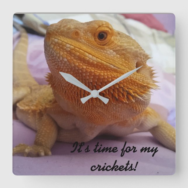 Horloge Carrée Funny Bearded Dragon Picture (Recto)