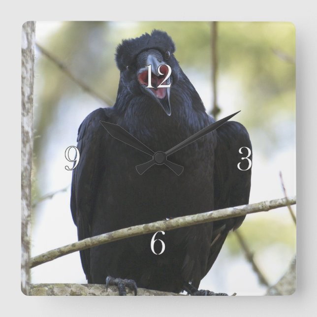 Horloge Carrée Funny Crowing Raven Wildlife-lovers (Recto)