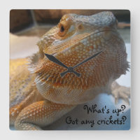 Funny Orange Bearded Dragon Close