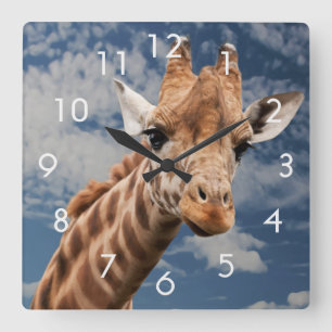 Horloge Carrée Girafe and Blue Sky Photo Clock