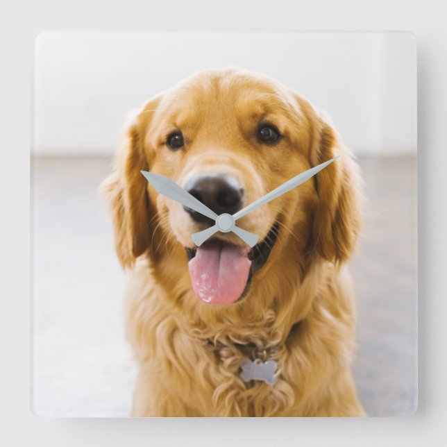 Horloge Carrée Golden Retriever souriant (Recto)