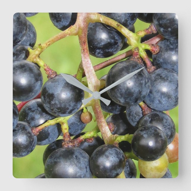 Horloge Carrée Grapes Wall Clock (Recto)