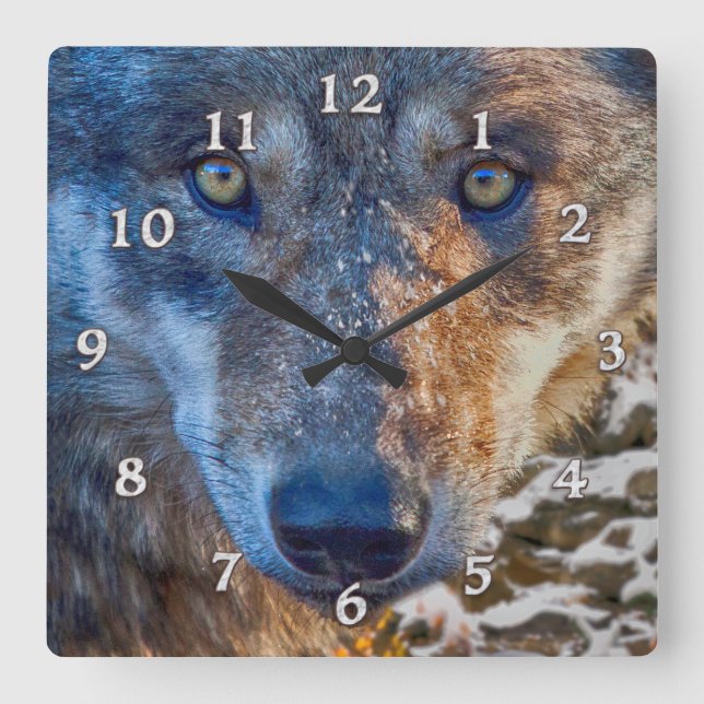 HORLOGE CARRÉE GRAY WOLF HITER'S RANGER (Recto)