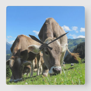 Horloge Carrée Grazing cow clock