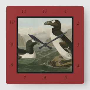 Horloge Carrée Great Auk - John James Audubon's Birds of America