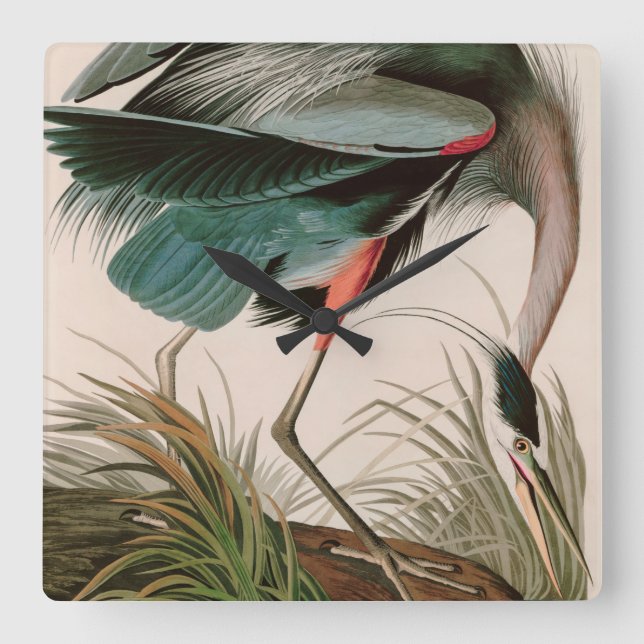 Horloge Carrée Great Blue Heron Birds of America Audubon Imprimer (Recto)