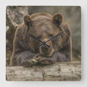 Horloge Carrée Grizzly Bear