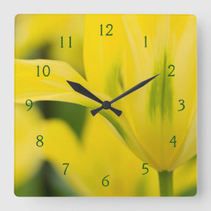 Horloge Carrée Gros plan de tulipe 2