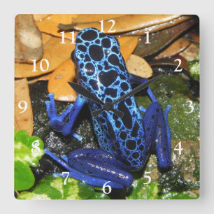 Horloge Carrée Gros plan d'une grenouille à carreaux bleu