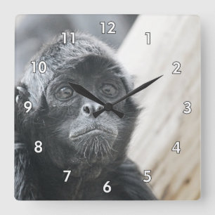 Horloge Carrée Gros plan Extraordinaire d'un singe araignée