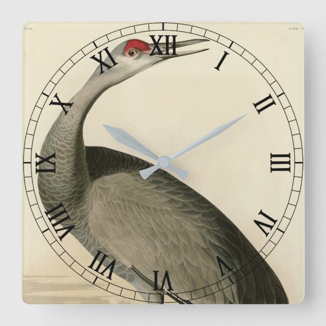 Horloge Carrée Grue de Sandhill d'Audubon's Birds of America (Recto)
