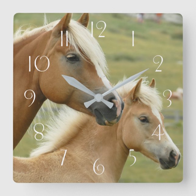 Horloge Carrée Haflinger horse et foal