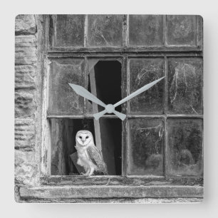 Horloge Carrée Hibou de grange