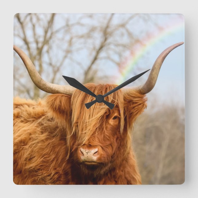 Horloge Carrée Highland cow wall clock (Recto)