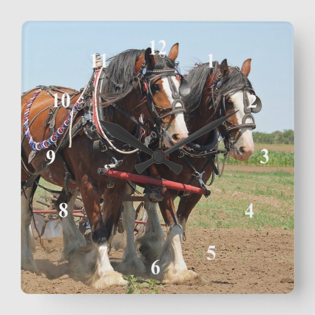 Horloge Carrée Horse Clydesdale Agriculture Photo (Recto)