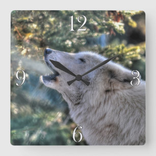 Horloge Carrée Howling Arctic Grey Wolf Portrait