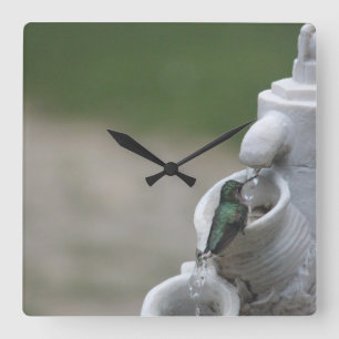 Horloge Carrée Hummingbird Clock