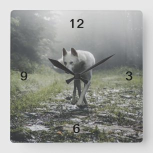 Horloge Carrée Husky Sibérien Blanc