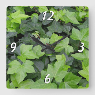 Horloge Carrée Impression botanique verte Ivy