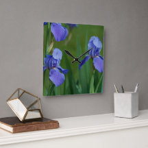 Horloge carrée Iris barbu pourpre