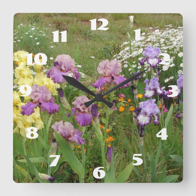 Horloge Carrée Iris Violet Iris Fleur Blanche Jardin Fleur  (Recto)
