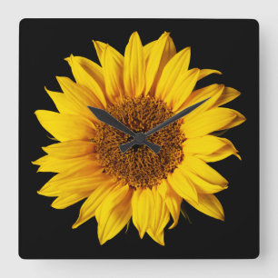 Horloge Carrée Jaune de tournesol sur le noir - fleurs
