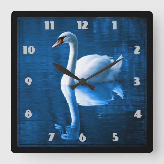 Horloge Carrée Joli cygne blanc flottant sur un lac bleu (Recto)