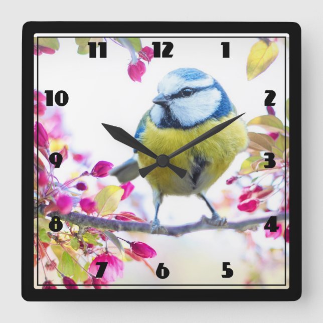 Horloge Carrée Joli oiseau bleu et jaune sur une branche Photogra (Recto)