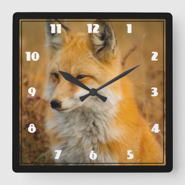 Horloge Carrée Jote Red Fox Wilderness Nature Photographie (Recto)
