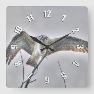 Horloge Carrée Juvenile Osprey Fish-Eagle Wildlife Photo Clock
