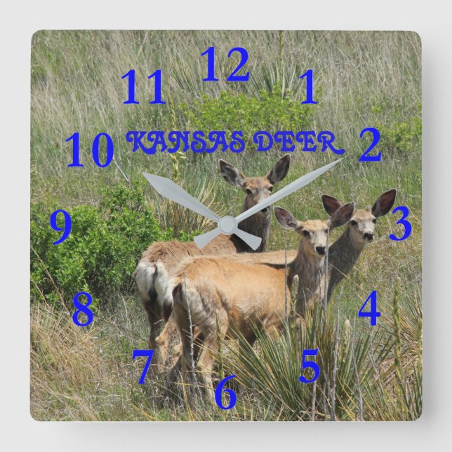 Horloge Carrée Kansas Deer (Recto)