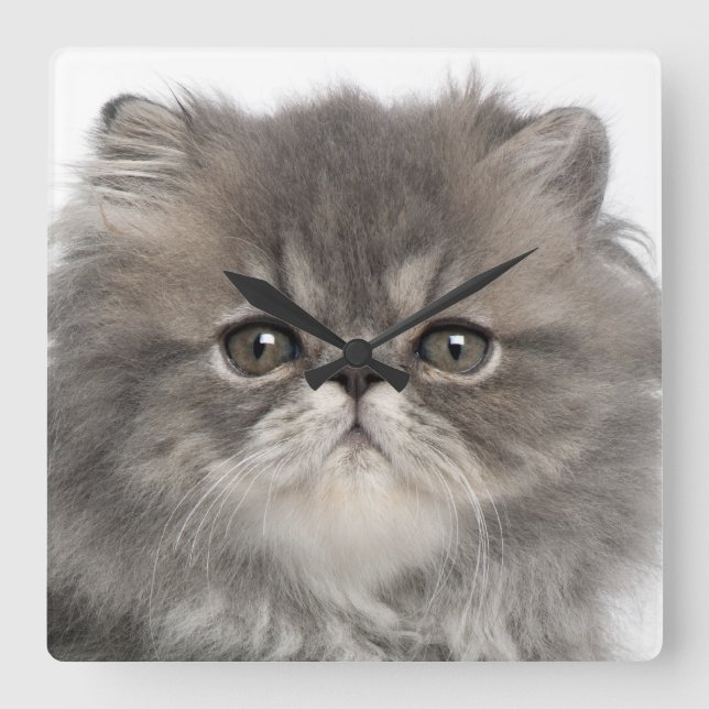 Horloge Carrée Kitten perse gris (Recto)