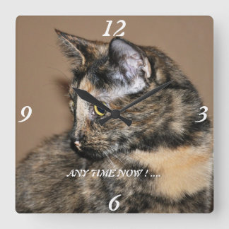 Horloge Carrée Kitties Any Time Now Wall Clock !