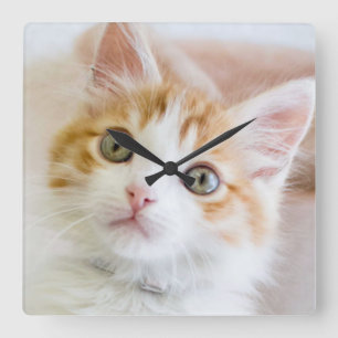 Horloge Carrée Kitty observé par bleu doux