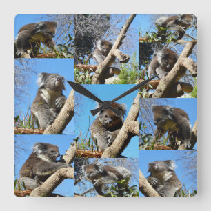 Horloge Carrée Koala Bear Photo Collage,