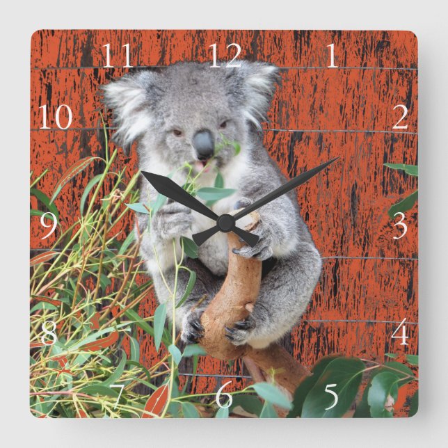 Horloge Carrée Koala Snack Time Clock (Recto)